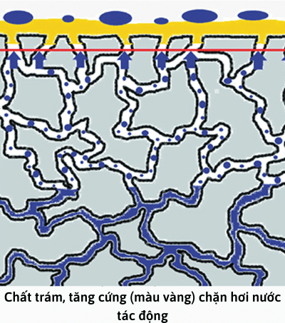 Chất trám, tăng cứng (màu vàng) chặn hơi nước